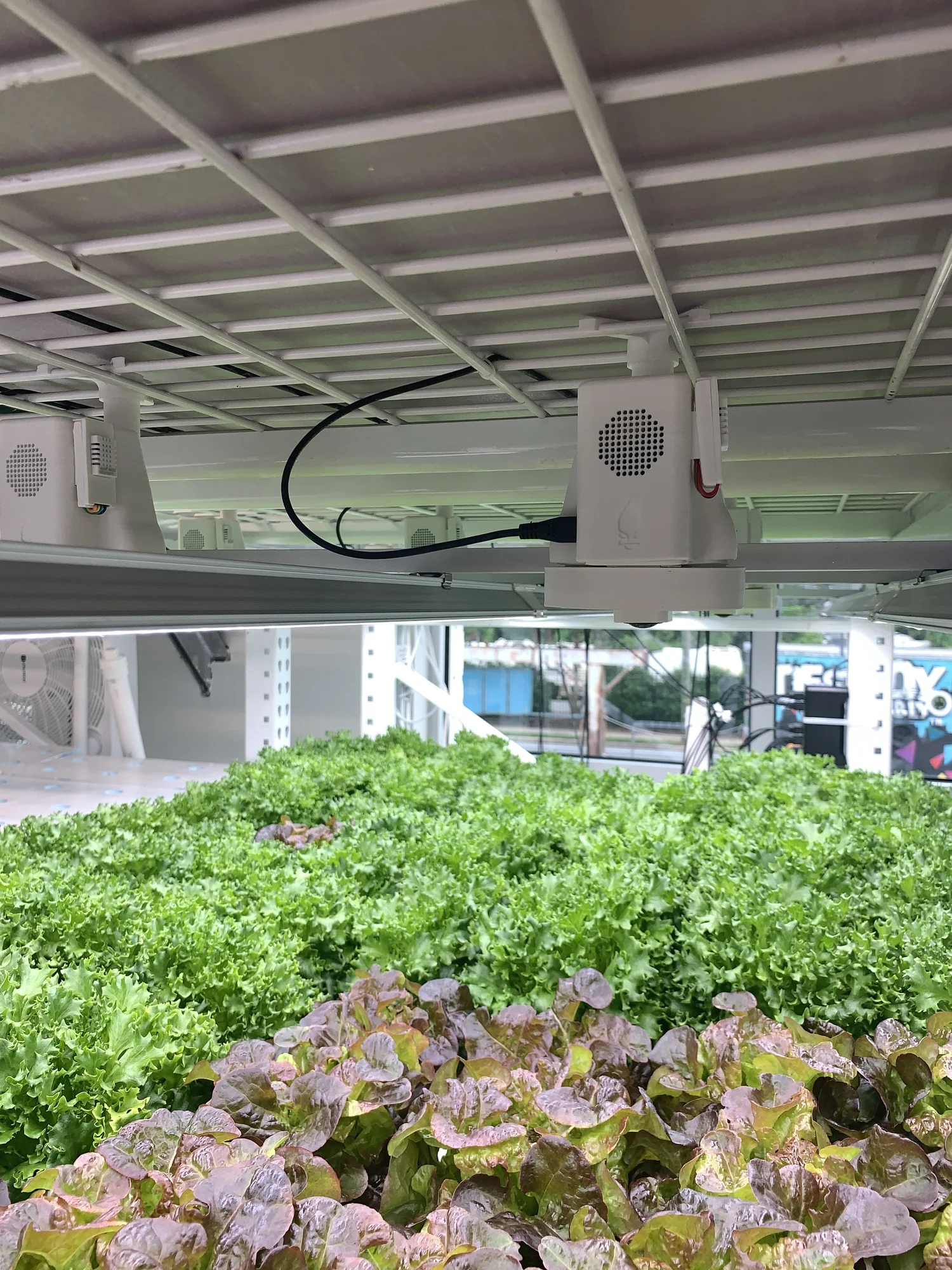 Serra Farmcam mounted in a working indoor farm